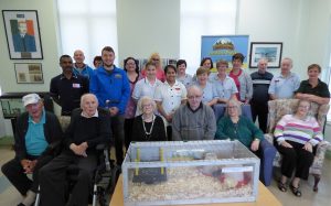 Read more about the article New chicks bring good cheer at New Ross Hospital