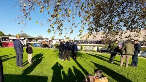 Read more about the article Bank Holiday Monday action at Wexford