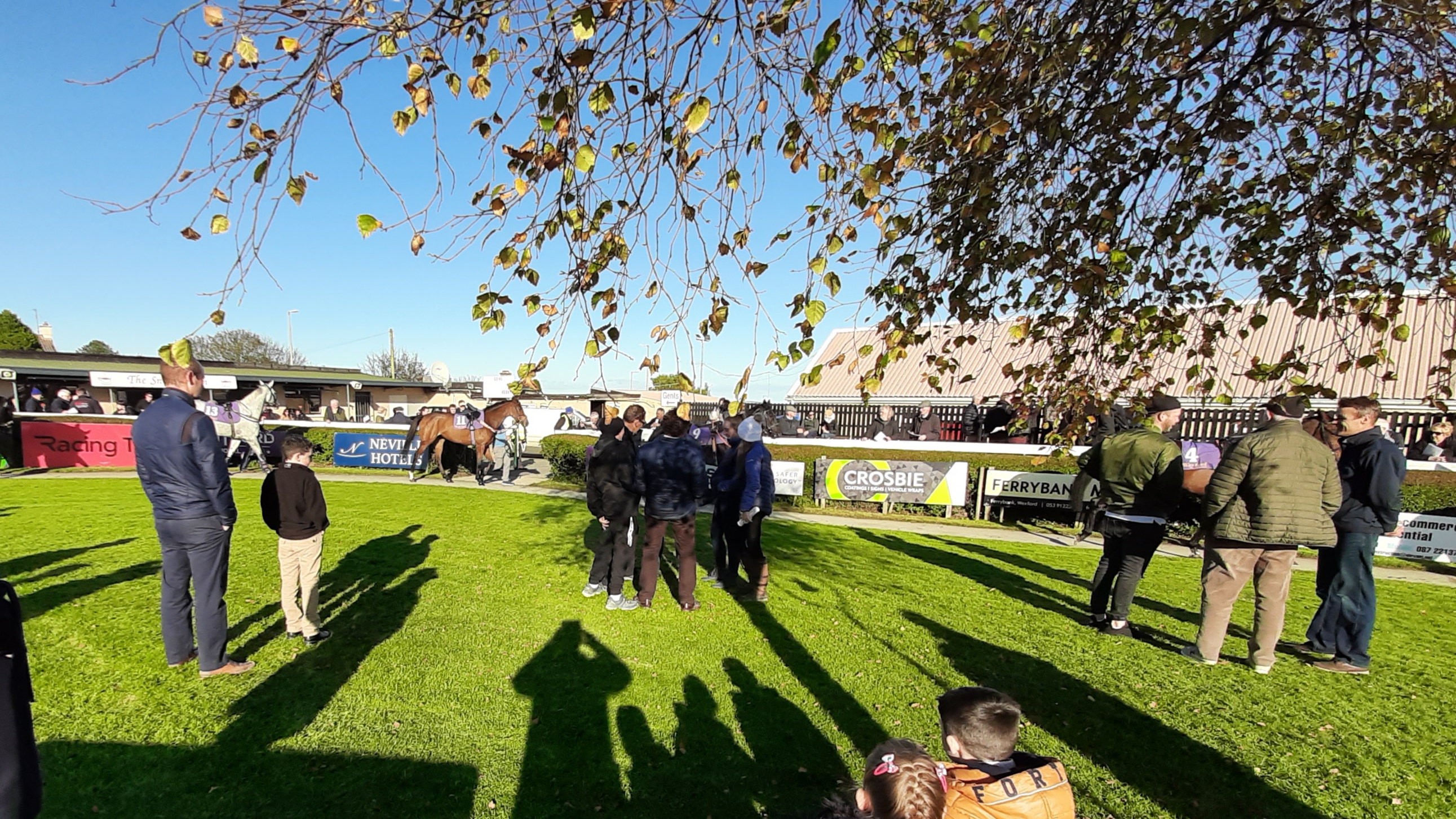 You are currently viewing Bank Holiday Monday action at Wexford