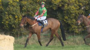 Read more about the article From Kiltealy to Cheltenham on the double