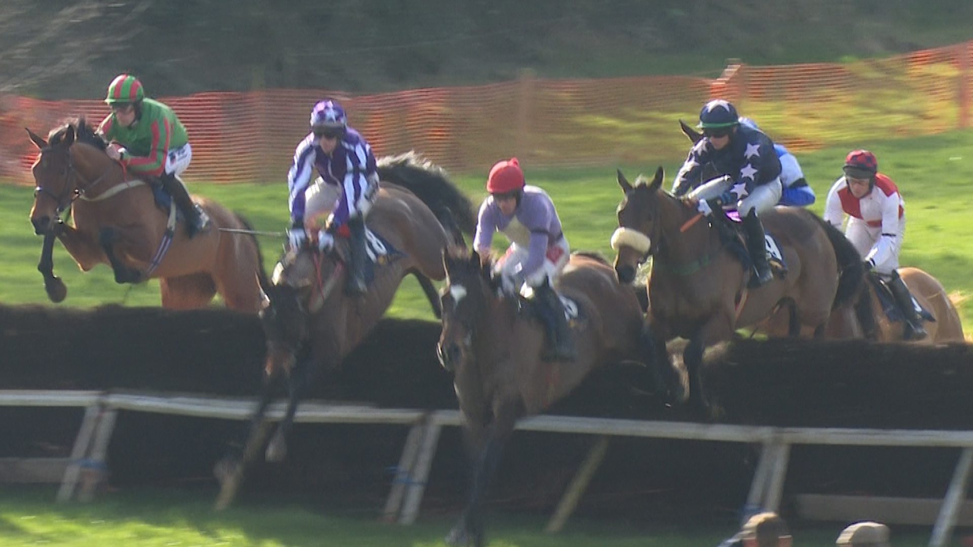 You are currently viewing Three Wexford Saturday ‘points’ winners