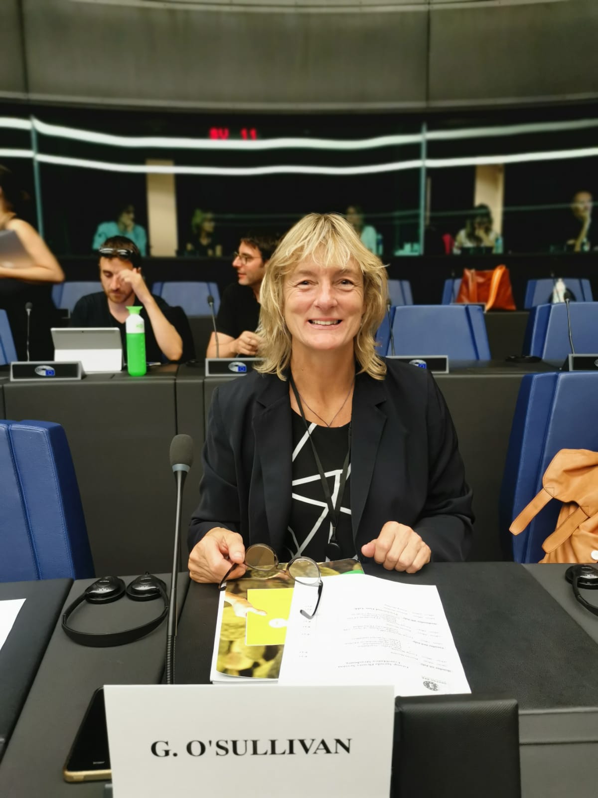 Read more about the article Resolution declaring a Europe-wide climate emergency