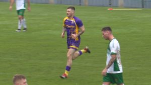 Read more about the article Video Highlights- Wexford v Defence Forces