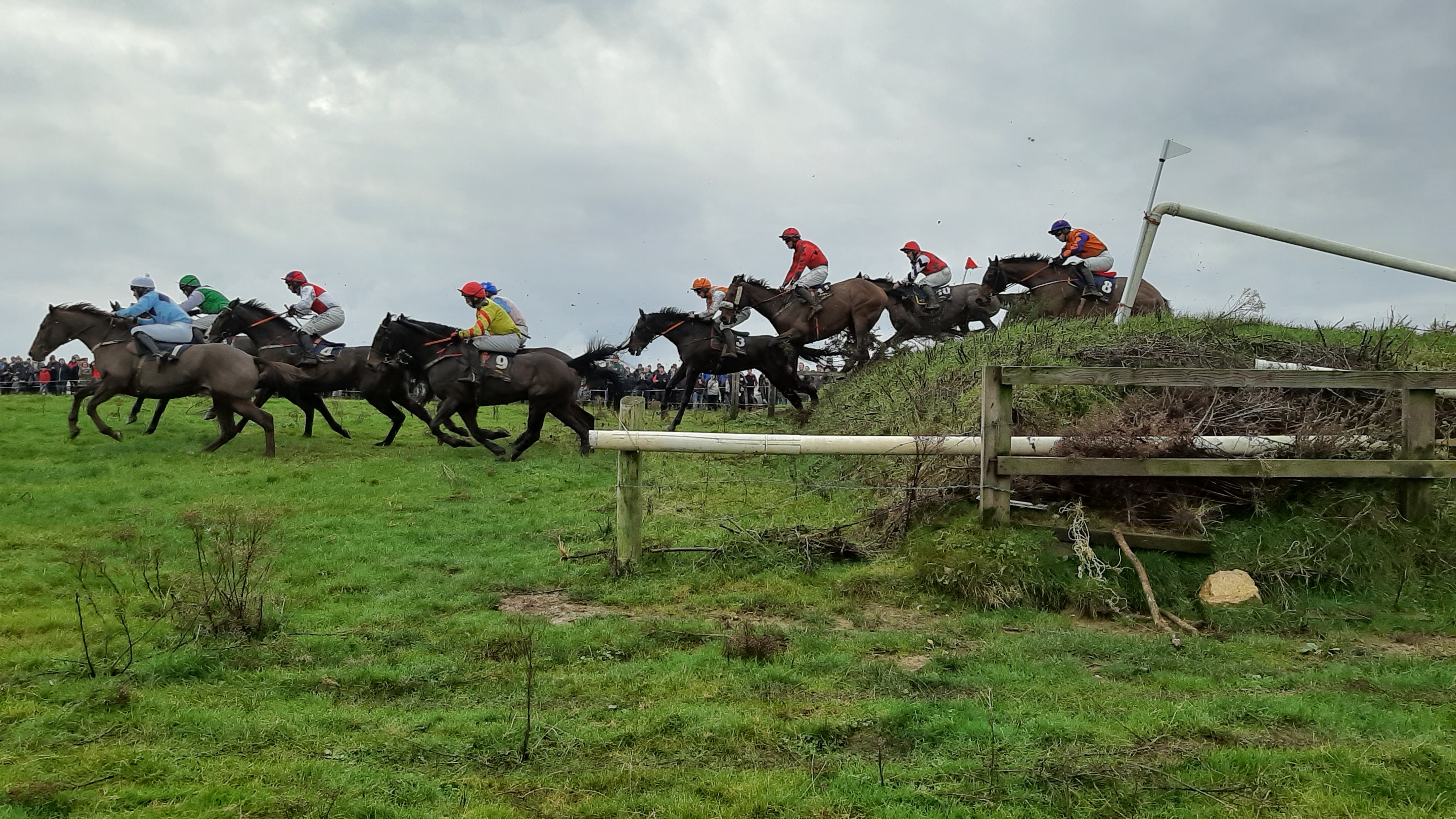 Read more about the article International flavour to Lingstown March point-to-point