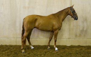 Read more about the article New purchase record set at Monart Sale