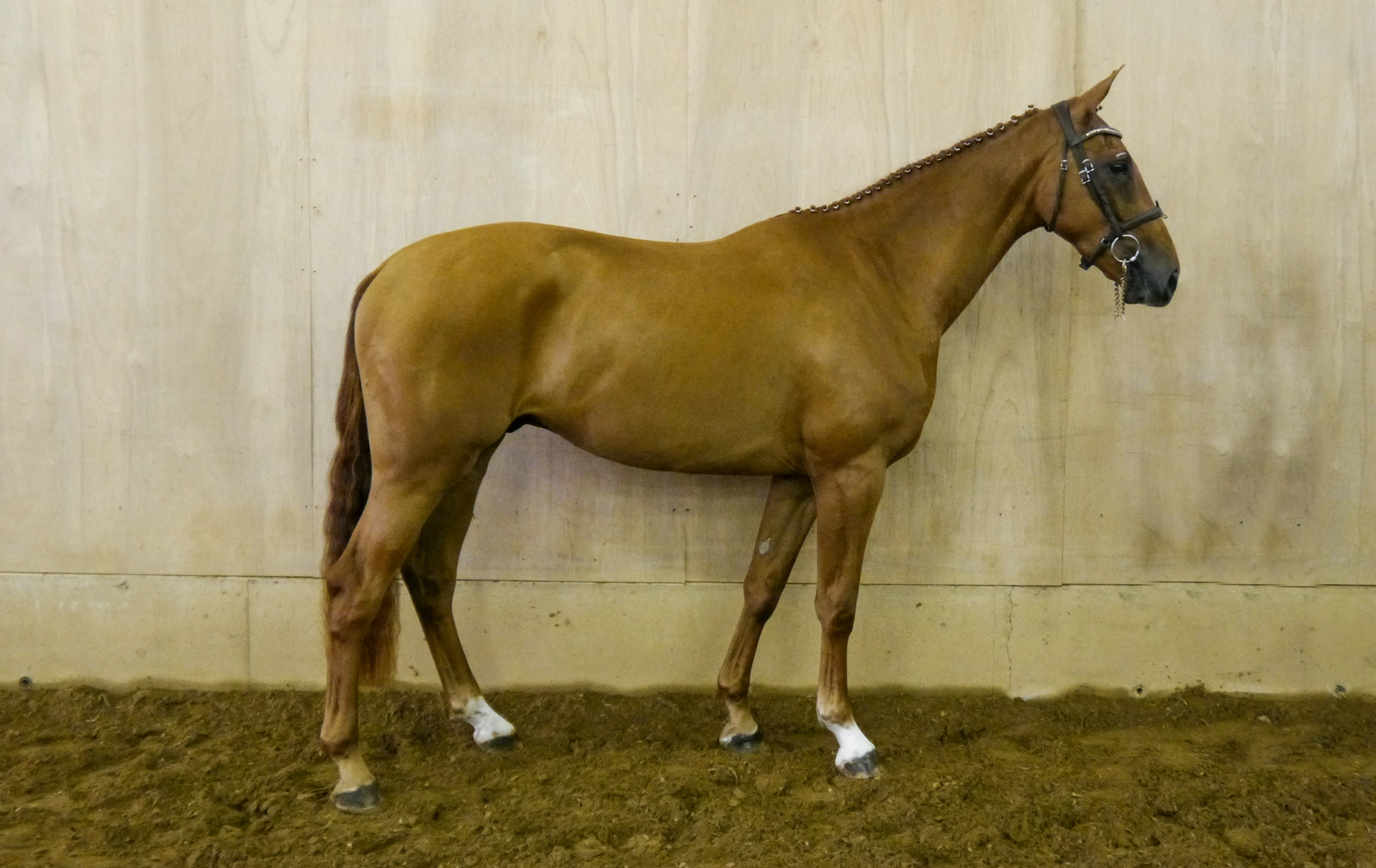 Read more about the article New purchase record set at Monart Sale