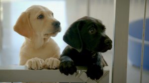 Read more about the article Gorey woman features on TG4 documentary tonight