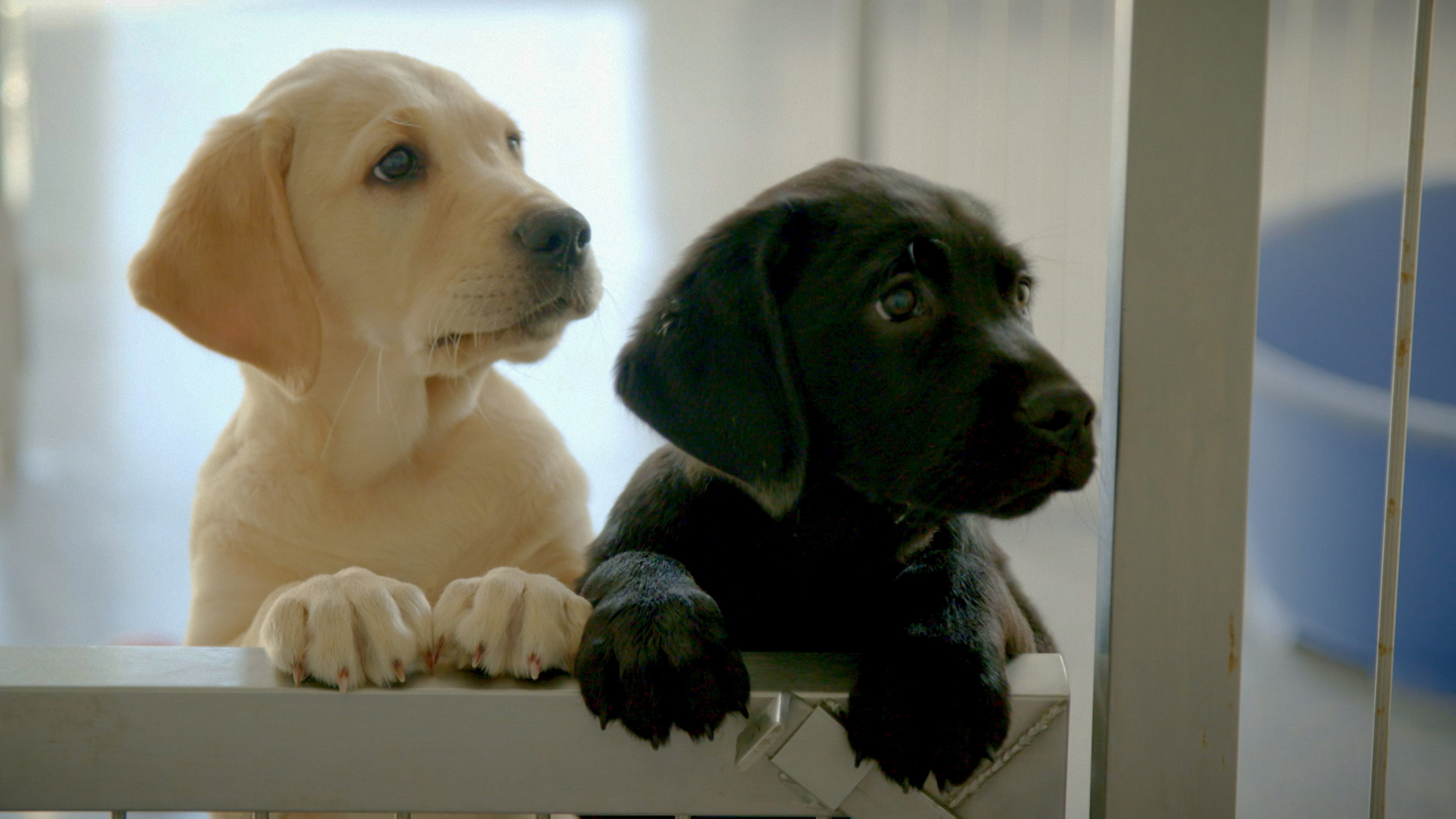 Read more about the article Gorey woman features on TG4 documentary tonight