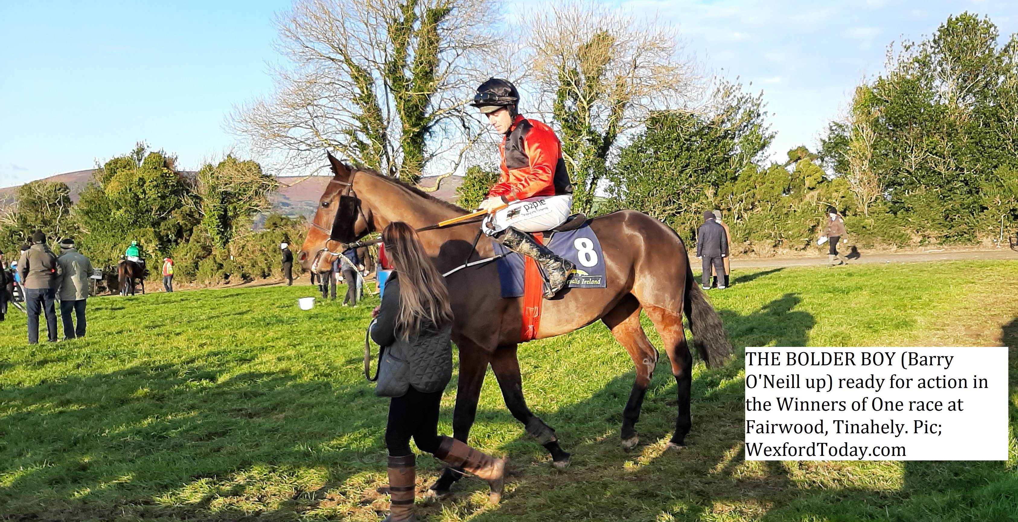 Read more about the article Jamie Codd and Denis Murphy dominate at Tinahely