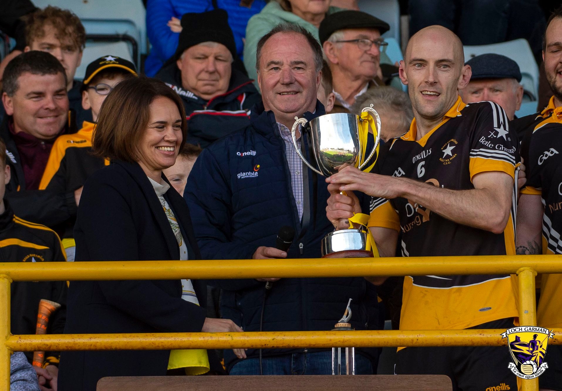 You are currently viewing Ballygarrett advance to Leinster semi-final