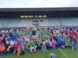 Read more about the article Video Highlights- Rathgarogue-Cushinstown win Leinster final