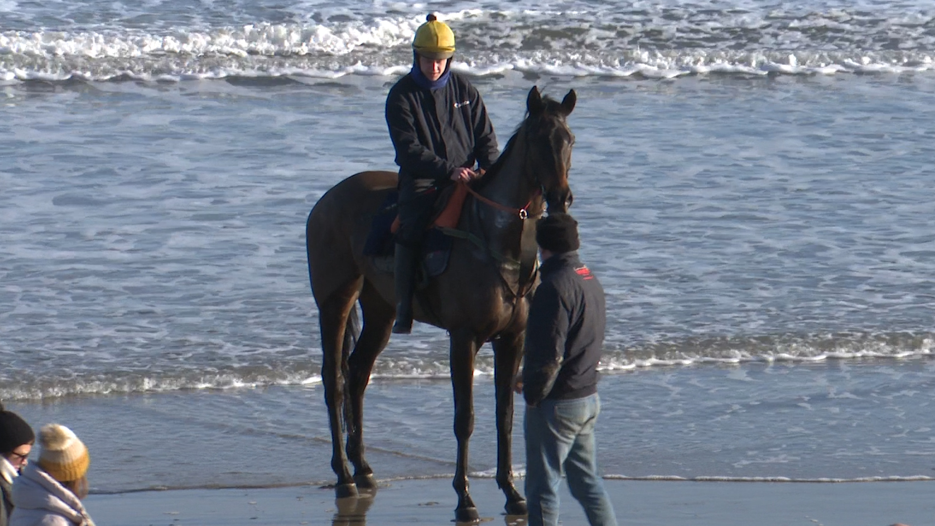 Read more about the article Clondaw Secret tops Cheltenham Sale