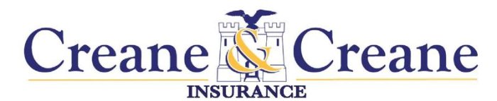 Read more about the article Creane & Creane Wexford Cup Predictions