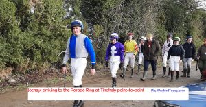 Read more about the article Soft going predicted for tomorrow’s Fairwood races