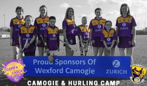 Read more about the article Easter Camogie & Hurling Camps