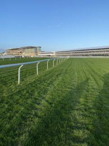 Read more about the article Lots of Wexford Success at Cheltenham – Day 3