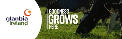 Read more about the article Glanbia’s precautionary measures for Covid-19