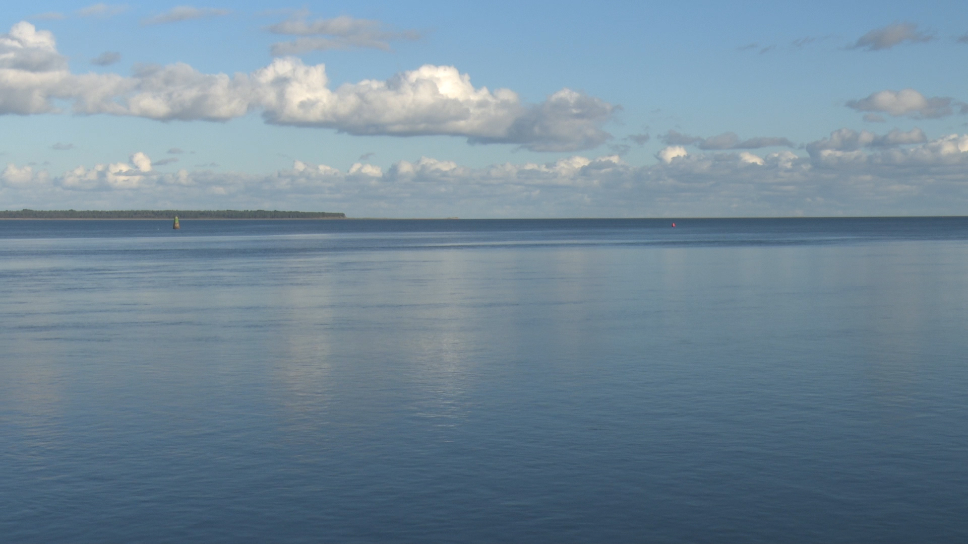Read more about the article Garda Bravery Rescues Man from Wexford Harbour