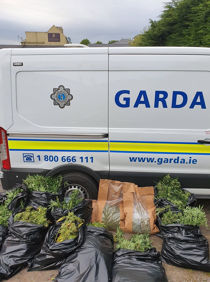 Read more about the article Cannabis Seizure near Ballycarney