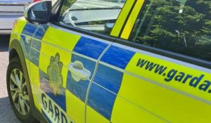 Read more about the article Reduction in Crime Trends during Pandemic