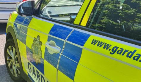 Read more about the article Reduction in Crime Trends during Pandemic