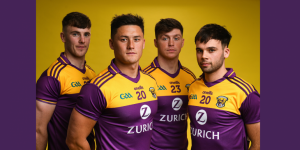 Read more about the article FF and FG TD’s Need to wear the Wexford Jersey