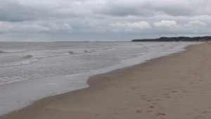 Read more about the article Best Beaches in the Country are in Wexford