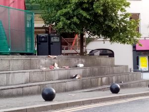 Read more about the article Enniscorthy has a Litter Problem