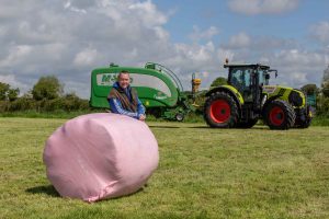 Read more about the article Let’s go Pink