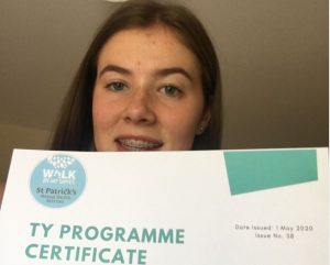 Read more about the article Wexford Twins Graduate as Mental Health Ambassadors