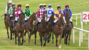 Read more about the article 5 Race Days for Wexford