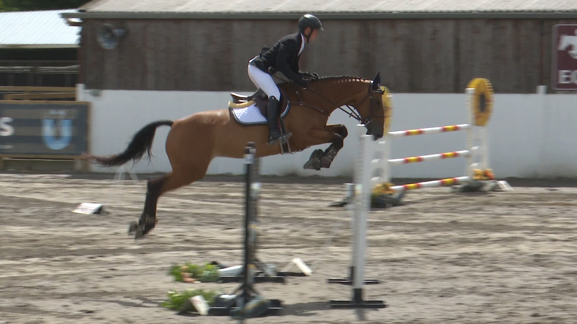 Read more about the article Jason & Brendan Share Win in Galway