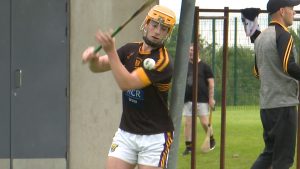 Read more about the article Rathnure All Set for the Championship