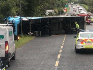 Read more about the article Witness Appeal: Serious Collision on Ferrycarrig Bridge
