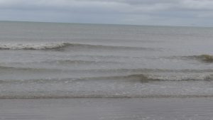 Read more about the article “No Swim” Notice for Duncannon Beach