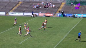 Read more about the article Video Highlights – Shelmaliers vs Faythe Harriers