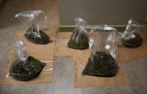 Read more about the article Update- €100,000 Worth of Cannabis Seized in Gorey