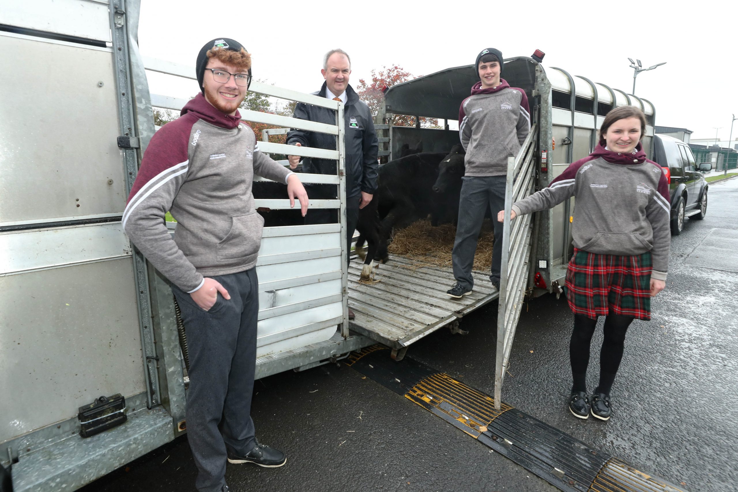 Read more about the article Gorey Students Presented with Calves