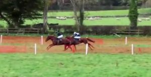 Read more about the article Cormac’s Undersupervision best of the Locals at Goffs