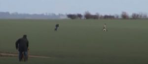 Read more about the article N.P.W.S. Complicit in Slaughter of Hares