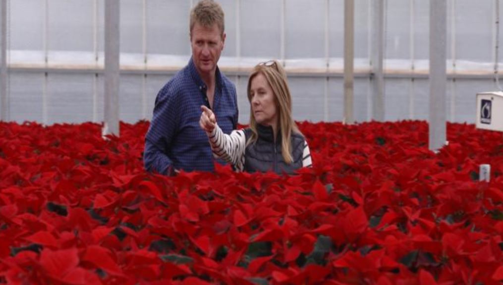 Read more about the article O’Connor Nurseries Feature in Nationwide Tonight