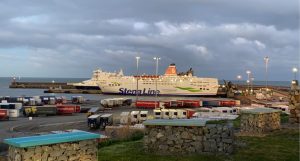 Read more about the article Exports could collapse amid Government Testing Failure