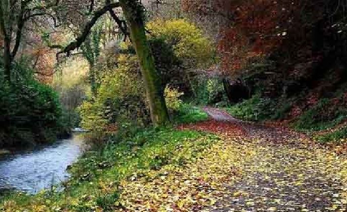 Read more about the article Funding for Wexford Trails