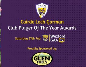 Read more about the article All the Details on Wexford GAA Virtual Awards Night