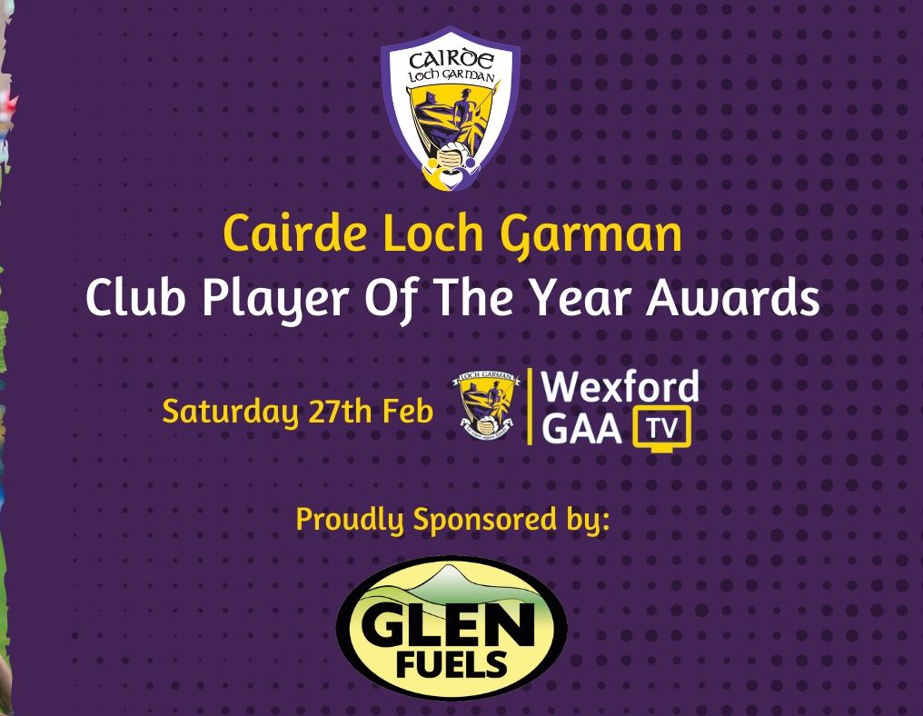 Read more about the article All the Details on Wexford GAA Virtual Awards Night