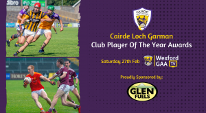Read more about the article Wexford GAA Launch Virtual Awards Night