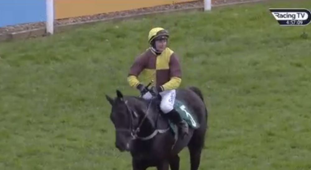 Read more about the article Wexford At Cheltenham – Day One