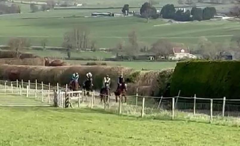 Read more about the article Horses Forced to Move to the UK