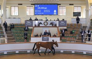 Read more about the article Doyle Brothers in the Money at Newmarket