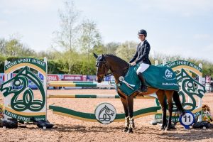 Read more about the article Wexford Horses in the Ribbons in the North